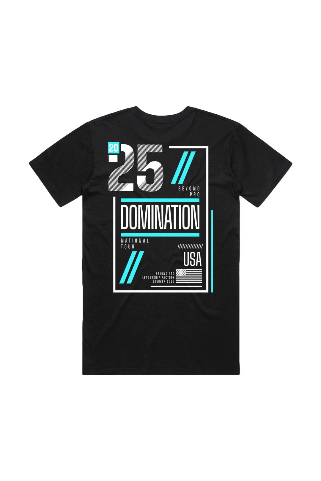 PPT - Domination