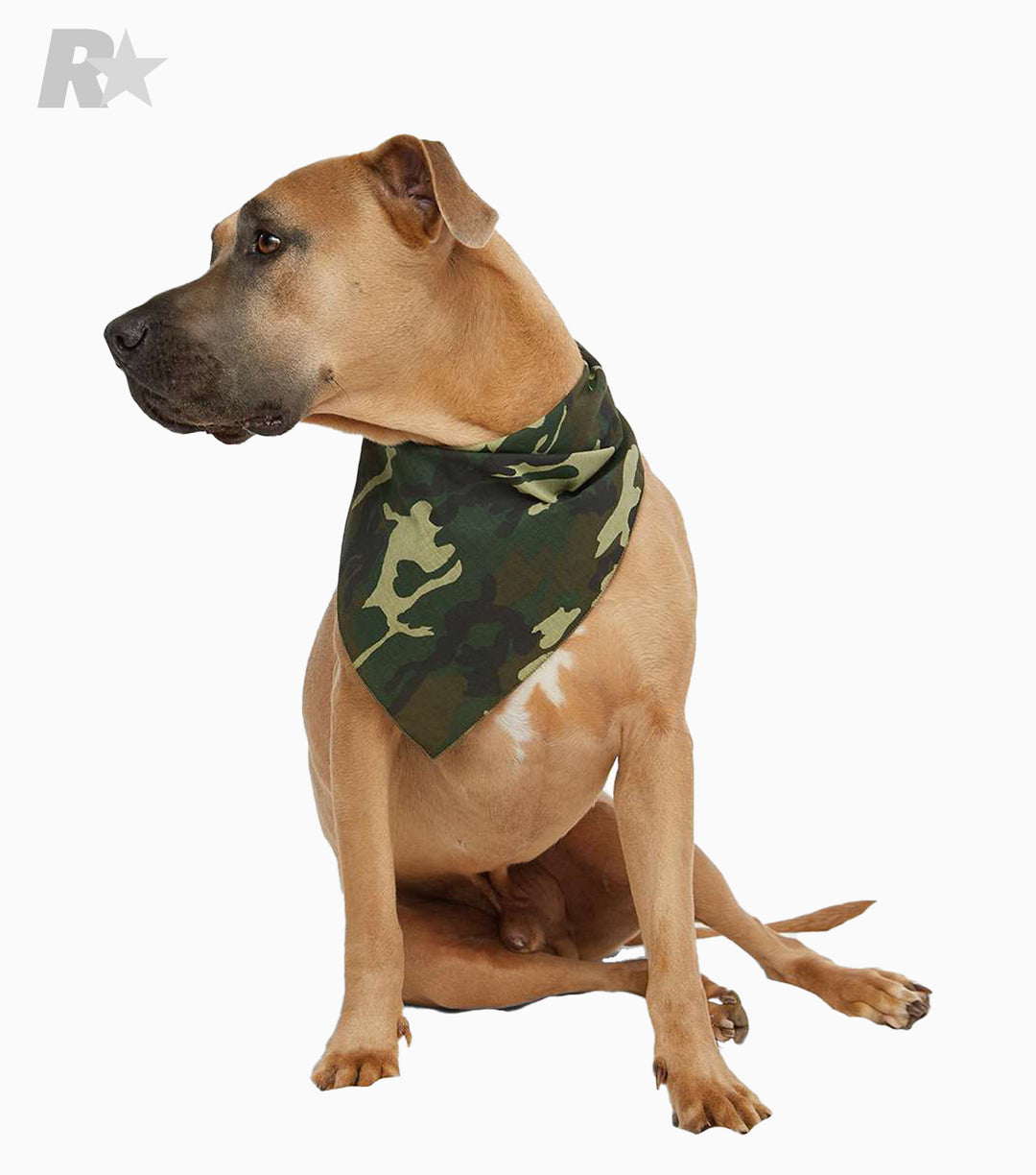 Pet Bandana