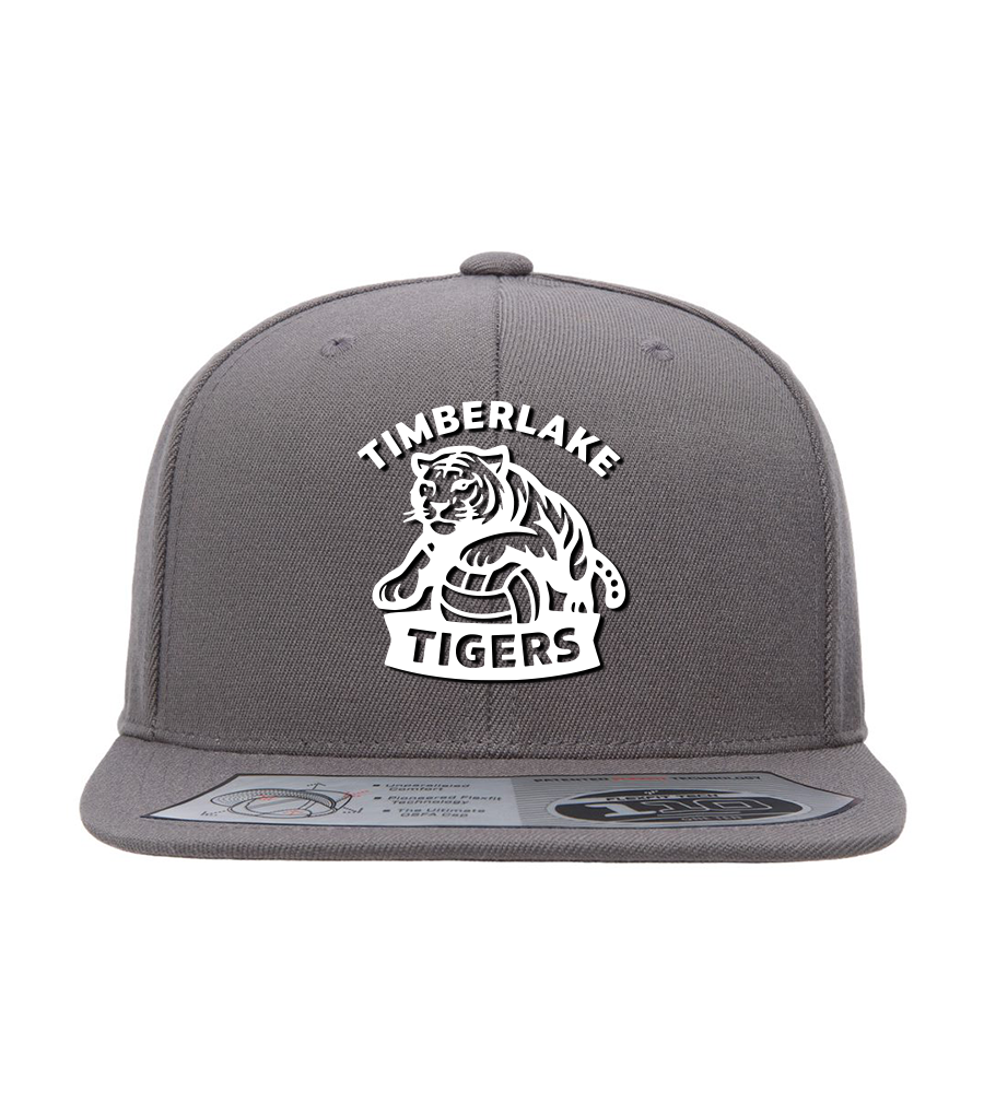 110 Snapback Cap